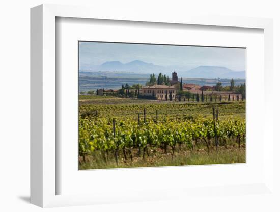 Idyllic Vineyard in La Rioja, Spain, Europe-Martin Child-Framed Photographic Print