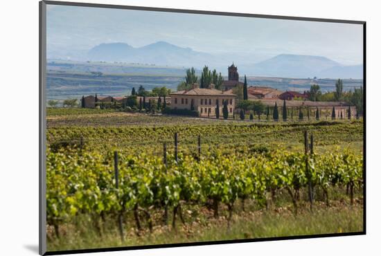 Idyllic Vineyard in La Rioja, Spain, Europe-Martin Child-Mounted Photographic Print