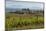 Idyllic Vineyard in La Rioja, Spain, Europe-Martin Child-Mounted Photographic Print