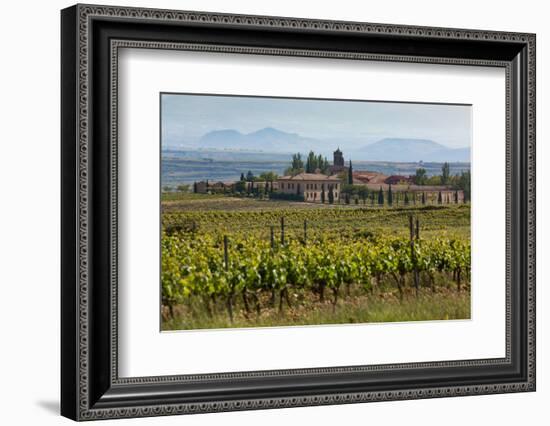 Idyllic Vineyard in La Rioja, Spain, Europe-Martin Child-Framed Photographic Print