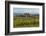 Idyllic Vineyard in La Rioja, Spain, Europe-Martin Child-Framed Photographic Print