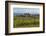 Idyllic Vineyard in La Rioja, Spain, Europe-Martin Child-Framed Photographic Print