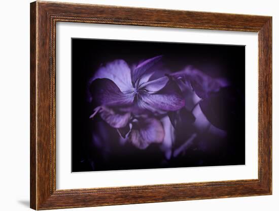 If I Know What Love Is-Philippe Sainte-Laudy-Framed Photographic Print