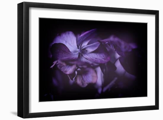 If I Know What Love Is-Philippe Sainte-Laudy-Framed Photographic Print