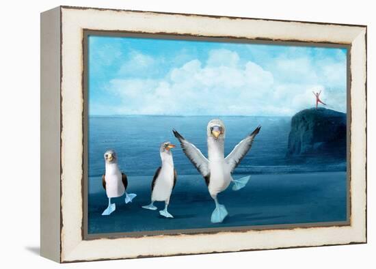 If You Were A Blue Footed Booby-Nancy Tillman-Framed Stretched Canvas