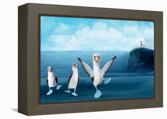 If You Were A Blue Footed Booby-Nancy Tillman-Framed Stretched Canvas