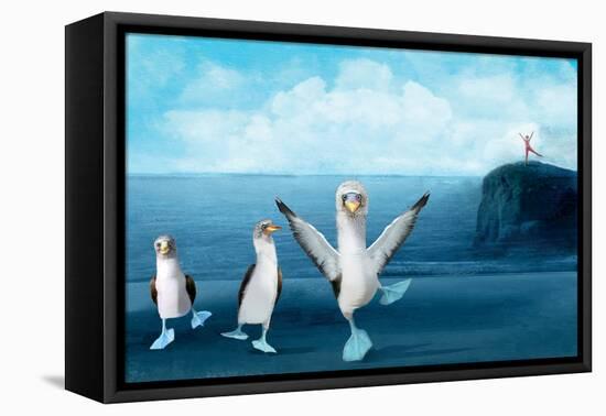 If You Were A Blue Footed Booby-Nancy Tillman-Framed Stretched Canvas