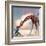 If You Were A Giraffe-Nancy Tillman-Framed Art Print