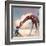 If You Were A Giraffe-Nancy Tillman-Framed Art Print