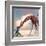 If You Were A Giraffe-Nancy Tillman-Framed Art Print