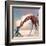 If You Were A Giraffe-Nancy Tillman-Framed Art Print