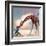 If You Were A Giraffe-Nancy Tillman-Framed Art Print