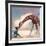 If You Were A Giraffe-Nancy Tillman-Framed Art Print