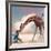 If You Were A Giraffe-Nancy Tillman-Framed Art Print