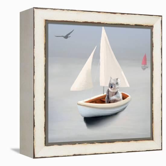 If You Were A Koala-Nancy Tillman-Framed Stretched Canvas