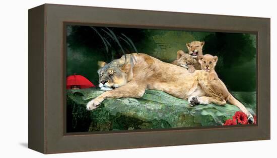 If You Were A Lion Cub-Nancy Tillman-Framed Stretched Canvas