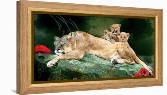If You Were A Lion Cub-Nancy Tillman-Framed Stretched Canvas