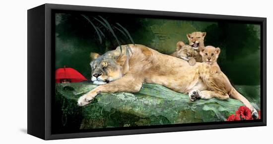 If You Were A Lion Cub-Nancy Tillman-Framed Stretched Canvas