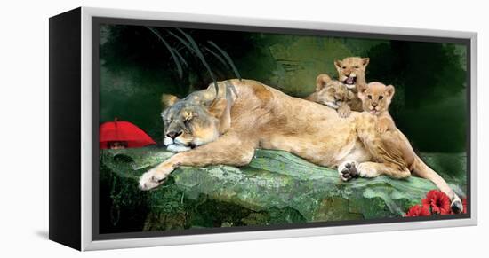 If You Were A Lion Cub-Nancy Tillman-Framed Stretched Canvas