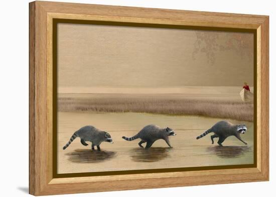 If You Were A Raccoon-Nancy Tillman-Framed Stretched Canvas