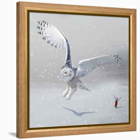 If You Were An Owl-Nancy Tillman-Framed Stretched Canvas
