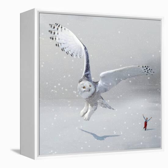 If You Were An Owl-Nancy Tillman-Framed Stretched Canvas