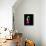 Iggy Watercolor II-Lana Feldman-Framed Stretched Canvas displayed on a wall