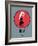 Iggy-David Brodsky-Framed Art Print