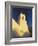 Iglesia De San Pedro, San Pedro De Atacama, Chile, South America-Mark Chivers-Framed Photographic Print