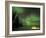 Igloo Lit Up at Night under Northern Lights Northwest Territories, Canada March 2007-Eric Baccega-Framed Photographic Print