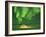 Igloo under Northern Lights, Northwest Territories, Canada March 2007-Eric Baccega-Framed Photographic Print