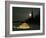 Igloo with Lights at Night by Moonlight, Northwest Territories, Canada March 2007-Eric Baccega-Framed Photographic Print