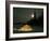 Igloo with Lights at Night by Moonlight, Northwest Territories, Canada March 2007-Eric Baccega-Framed Photographic Print