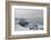 Igloos Outside the Arctic Hotel in Ilulissat, Greenland, Denmark, Polar Regions-Sergio Pitamitz-Framed Photographic Print