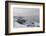 Igloos Outside the Arctic Hotel in Ilulissat, Greenland, Denmark, Polar Regions-Sergio Pitamitz-Framed Photographic Print