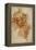 Ignundo on the Sistine Valut-Giovanni Battista Rosso Fiorentino-Framed Premier Image Canvas