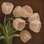 Magnificent Tulips II-Igor Levashov-Art Print