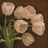 Magnificent Tulips II-Igor Levashov-Art Print