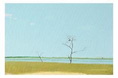 Estuary-Igor Nekraha-Art Print