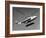 Igor Sikorsky Making Helicopter Flight-Dmitri Kessel-Framed Photographic Print