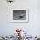 Igor Sikorsky Making Helicopter Flight-Dmitri Kessel-Framed Photographic Print displayed on a wall