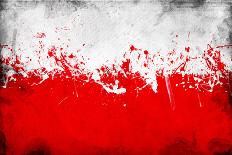Poland Flag-igor stevanovic-Premium Giclee Print