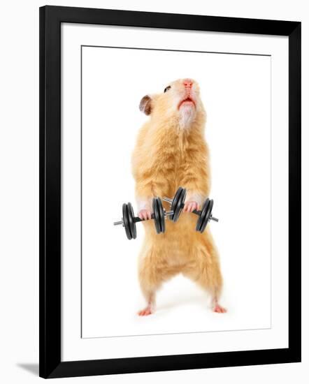 Photographic Print, , large