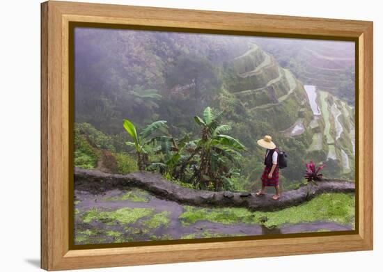 Igorot Woman, Rice Terraces, Agriculture, Philippine Cordilleras, Philippines-Keren Su-Framed Premier Image Canvas