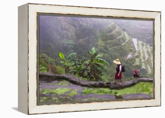 Igorot Woman, Rice Terraces, Agriculture, Philippine Cordilleras, Philippines-Keren Su-Framed Premier Image Canvas