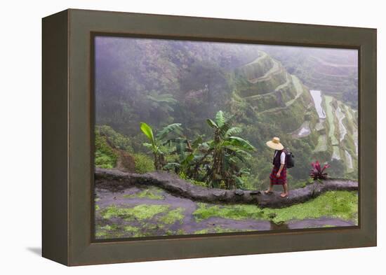 Igorot Woman, Rice Terraces, Agriculture, Philippine Cordilleras, Philippines-Keren Su-Framed Premier Image Canvas