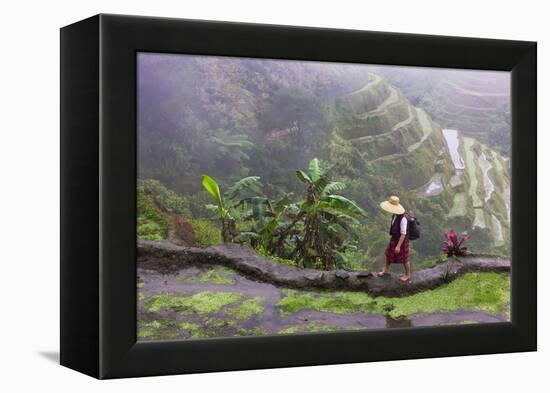 Igorot Woman, Rice Terraces, Agriculture, Philippine Cordilleras, Philippines-Keren Su-Framed Premier Image Canvas