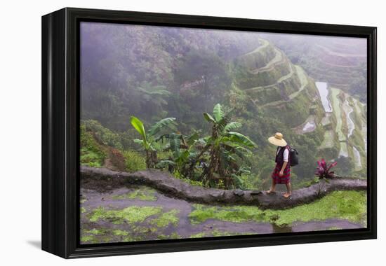 Igorot Woman, Rice Terraces, Agriculture, Philippine Cordilleras, Philippines-Keren Su-Framed Premier Image Canvas