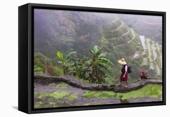 Igorot Woman, Rice Terraces, Agriculture, Philippine Cordilleras, Philippines-Keren Su-Framed Premier Image Canvas