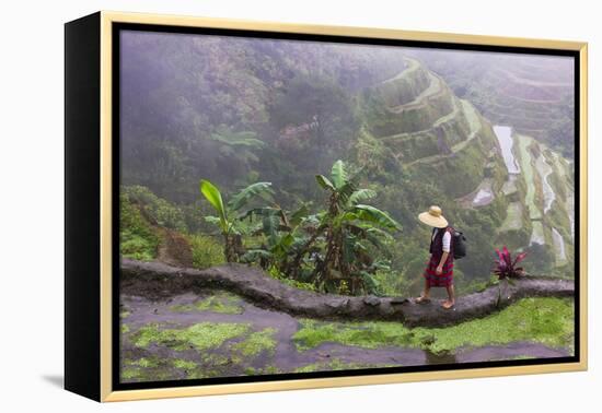 Igorot Woman, Rice Terraces, Agriculture, Philippine Cordilleras, Philippines-Keren Su-Framed Premier Image Canvas